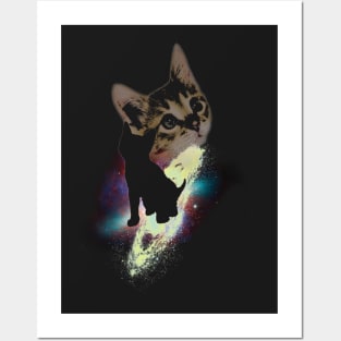 SpaceCats Posters and Art